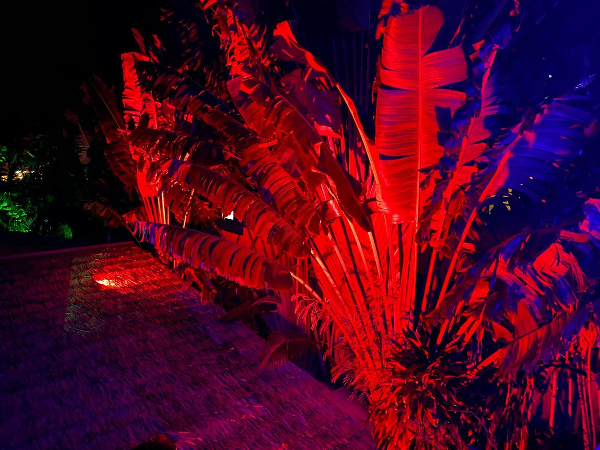 Stunning Villa With Ocean Views And Free Car Lamai Beach  Eksteriør bilde